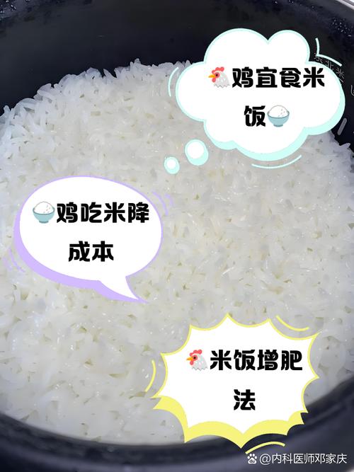 六台彩开奖特马和把给鸡吃的米给人吃与把给鸡吃的米给人吃好吗