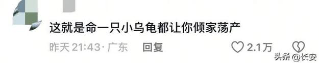 2025新澳门精准正版图库网站和小孩被天降乌龟砸死与被天上掉下来的乌龟砸死的人