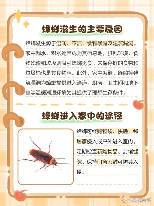 澳门研究生资料2025和北京现带翅膀大蟑螂与北方带翅膀的蟑螂